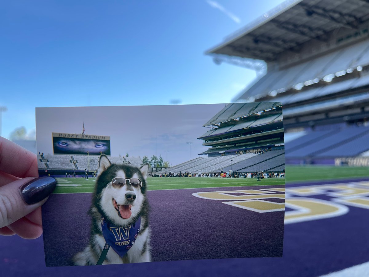 UWAthletics's tweet photo. 📸 #GreatestSetting gameday moments captured on film.  

Can't wait to be back at home this Saturday to make more memories during the Homecoming game!   

#GoHuskies x #PurpleReign https://t.co/ONk63HfRla
