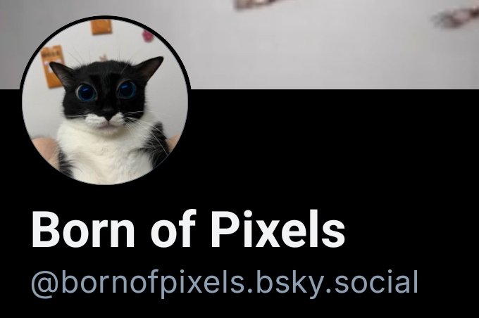 bornofpixels's tweet photo. Alright, officially leaving twitter in a week

Follow my bluesky or die instantly https://t.co/1zkdDiCeM6