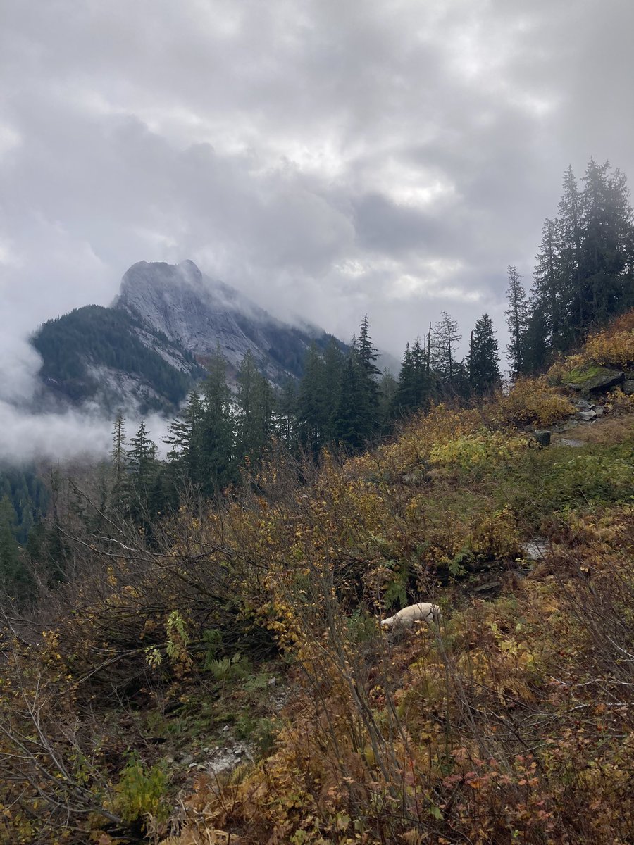mazama_cap's tweet photo. Happy places https://t.co/oV5FeuyXVg