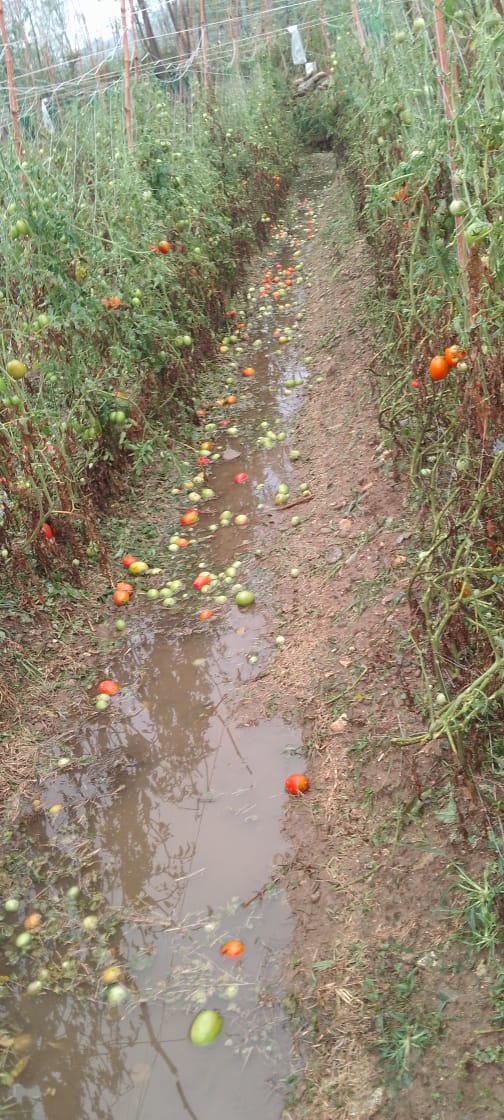 Irfanullah Khan (@irfanullah15518) on Twitter photo 