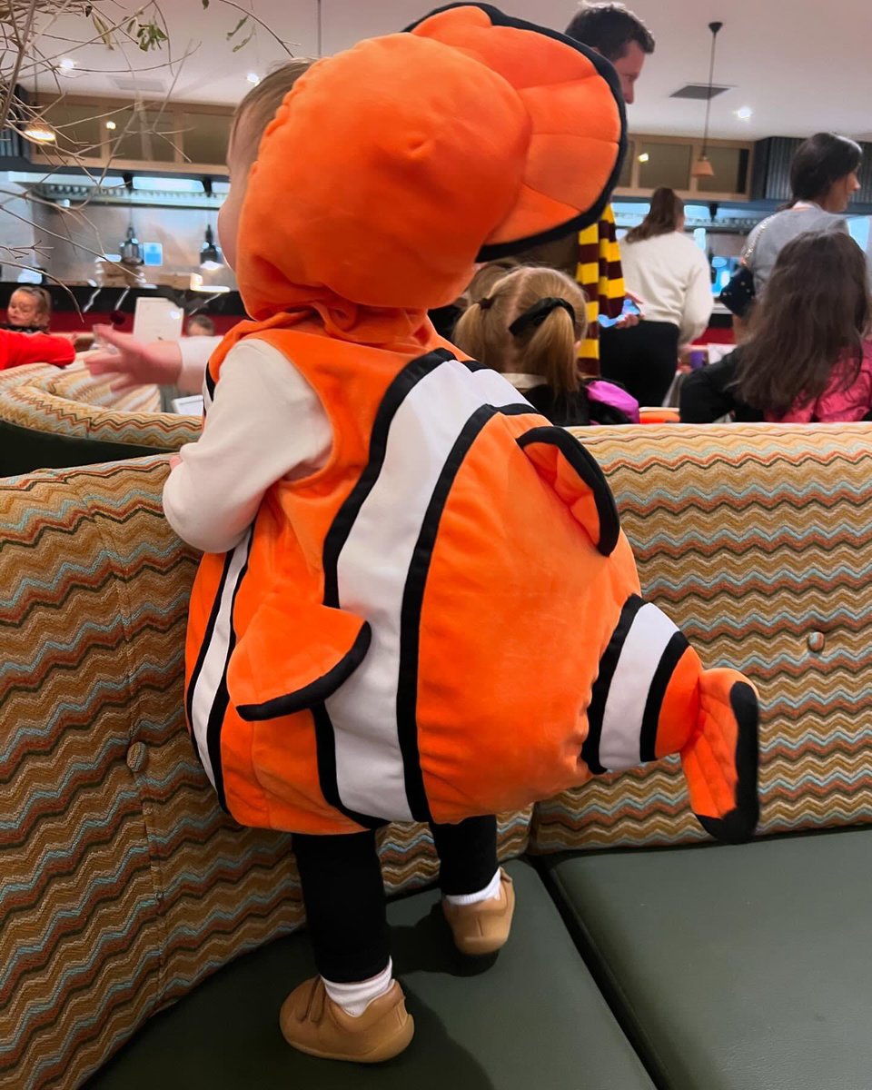 Oban’s first Halloween… the cutest Nemo I ever did see!! 🧡