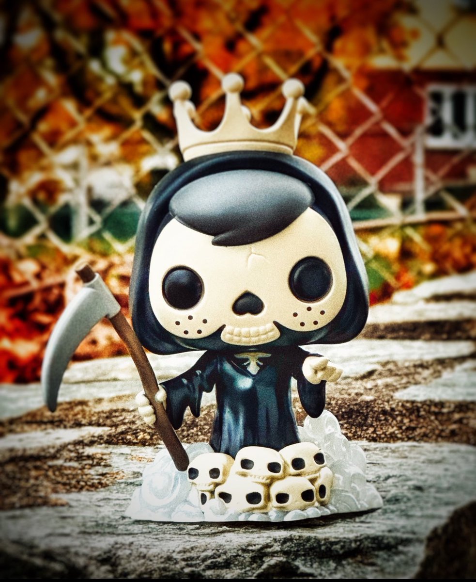 TakeMeToTheRio1's tweet photo. Freddy is for certain feeling a little #Spooky for the @funko #FunkoPhotoADayChallenge
๐ป๐#Funko
๐ป๐#FunkoWeen
๐ป๐#Freddy
๐ป๐#FreddyFunko
๐ป๐#SpookSpook https://t.co/qBj6c1qWGc