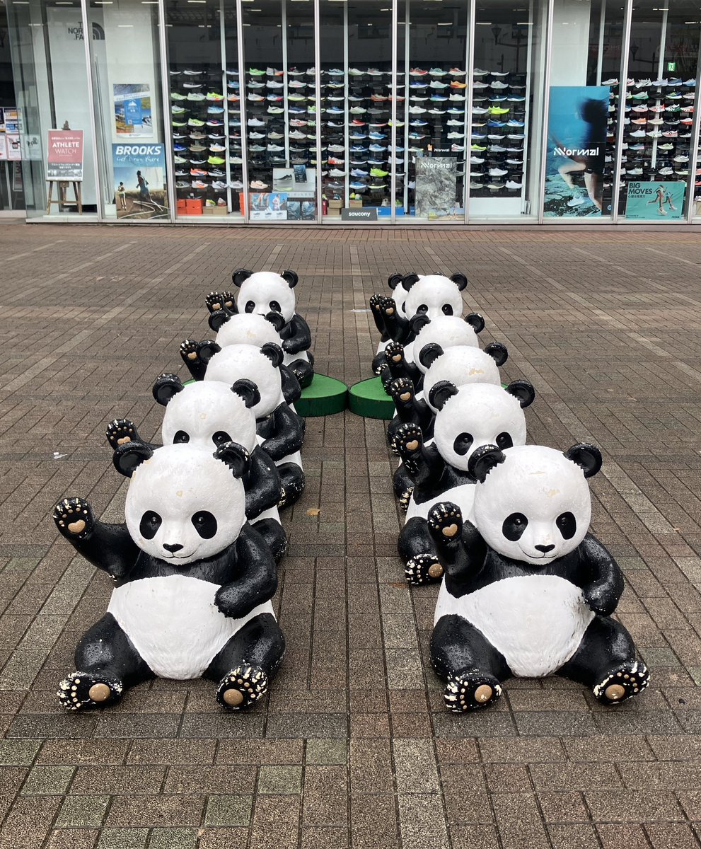 お知らせ】この度、おかちまちパンダ広場の子パンダ12匹は経年劣化