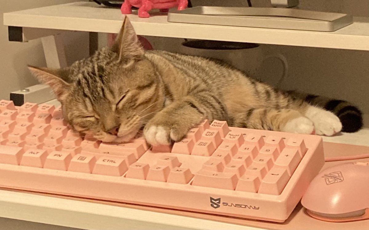 imfirebyte's tweet image. What video game is he dreaming about?