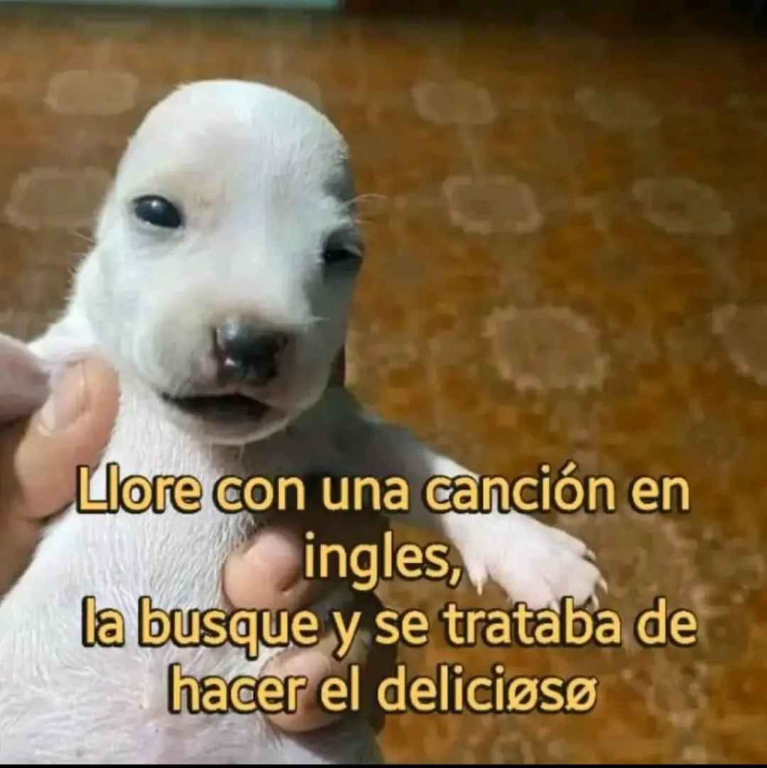 El_Maity2's tweet photo. https://t.co/TplE4EA6Ms
