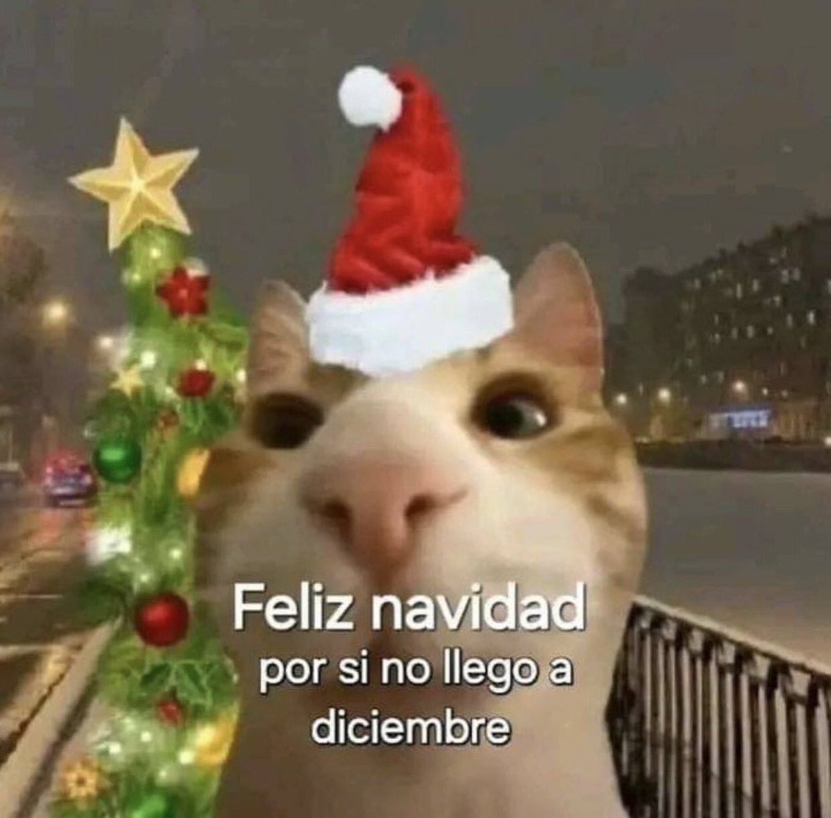 Mood