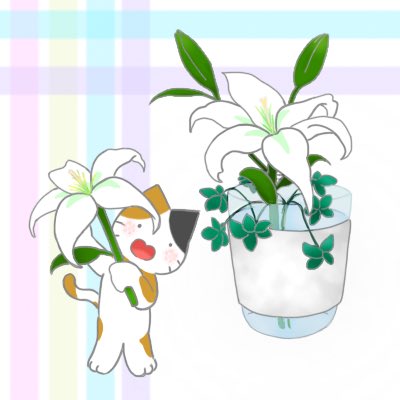 rrrr1ckrack's tweet photo. ユリの花です♪
最近は、色んな系統の絵を描こうと思っていますー！
#illustration #イラスト #イラストレーター #ねこ #ゆり #花 https://t.co/aQrtFLHi3R