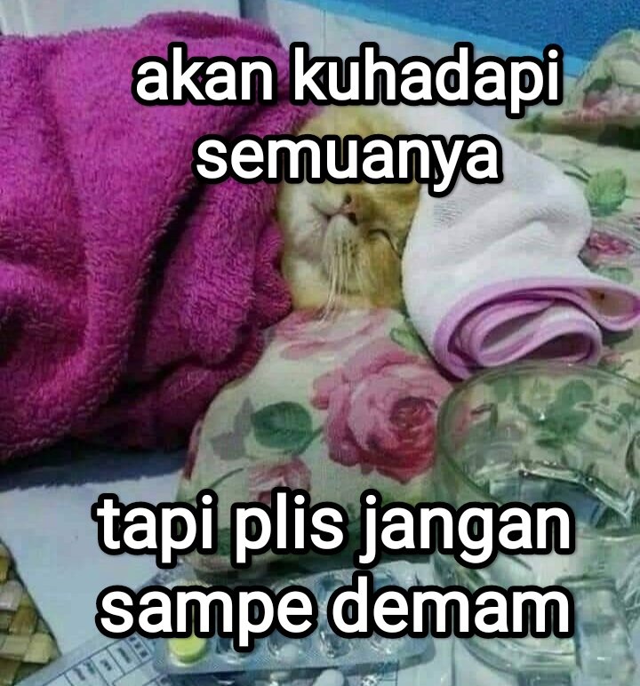 el (@halupulisi) on Twitter photo 