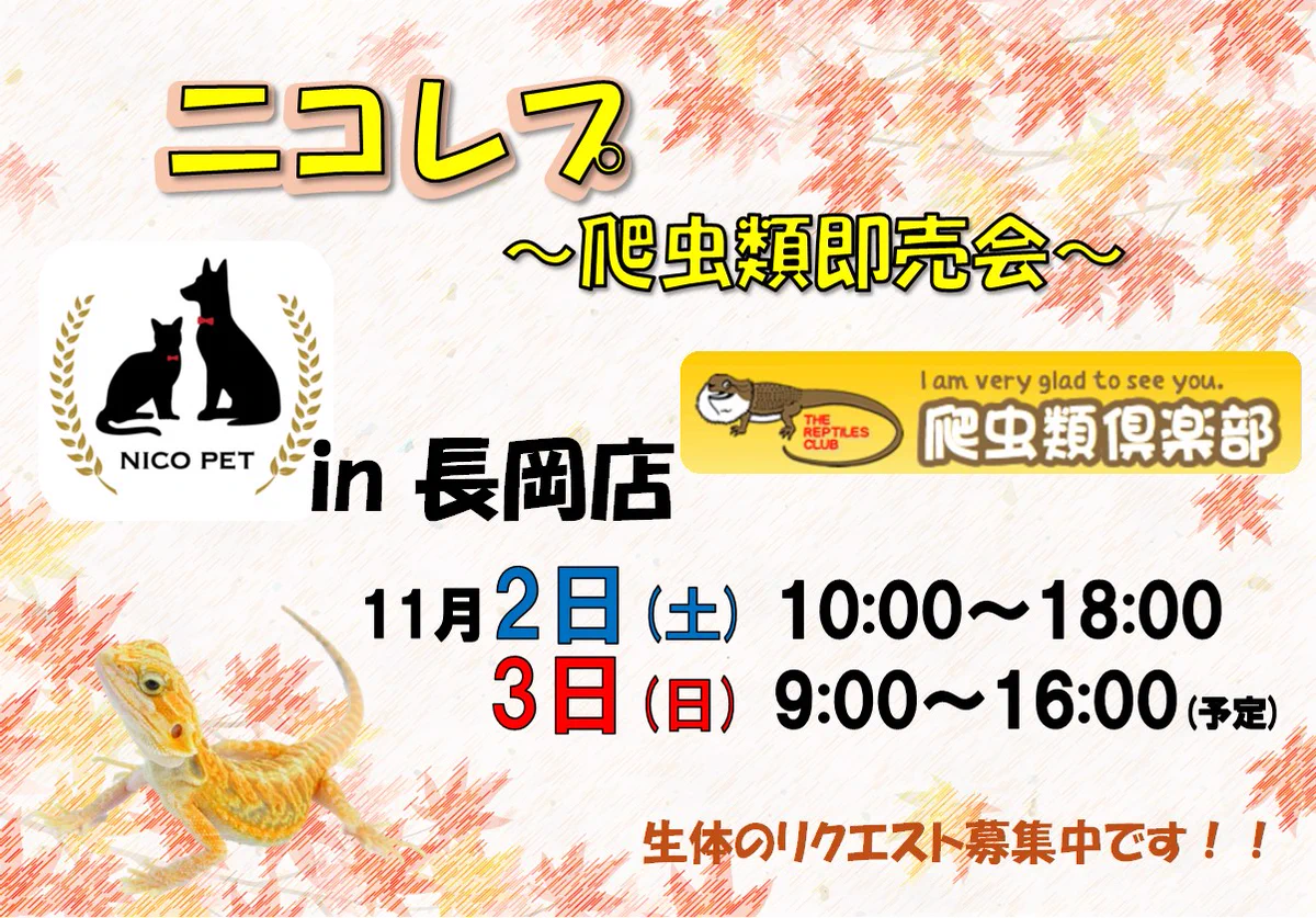 ムサシ 高岡 駅 南 店