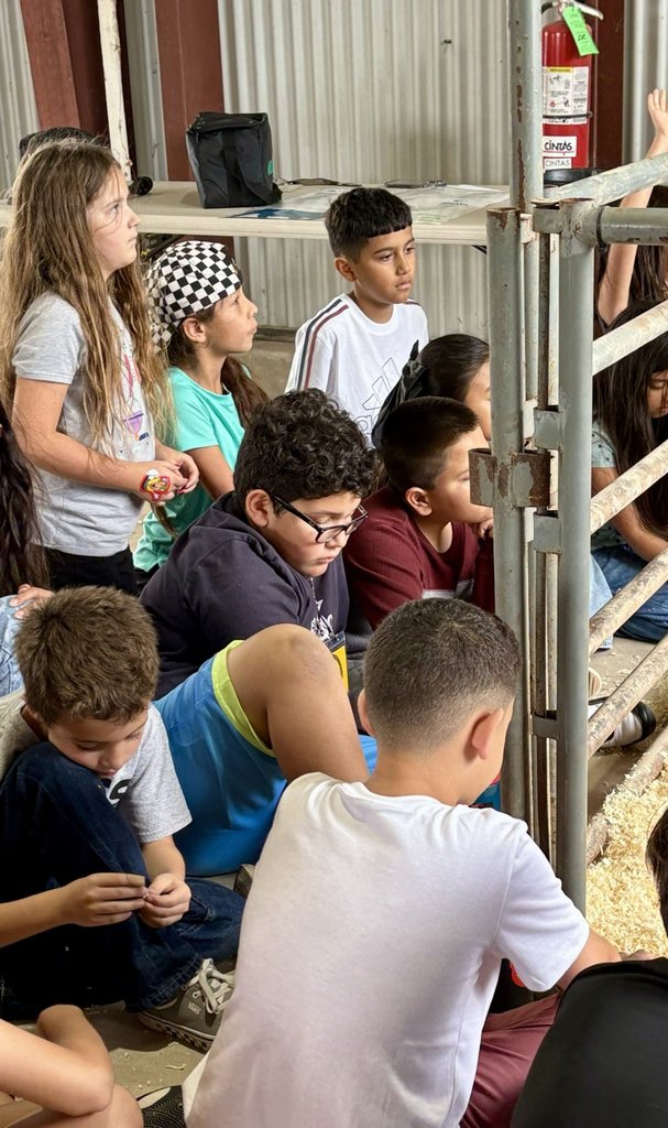 SchertzES's tweet photo. Our 4th graders attended the annual Ag Fair. They were excited to learn the ins and outs of agriculture.  Thank you to SCUC 4H for hosting again this year. https://t.co/vrQZx1ziWE