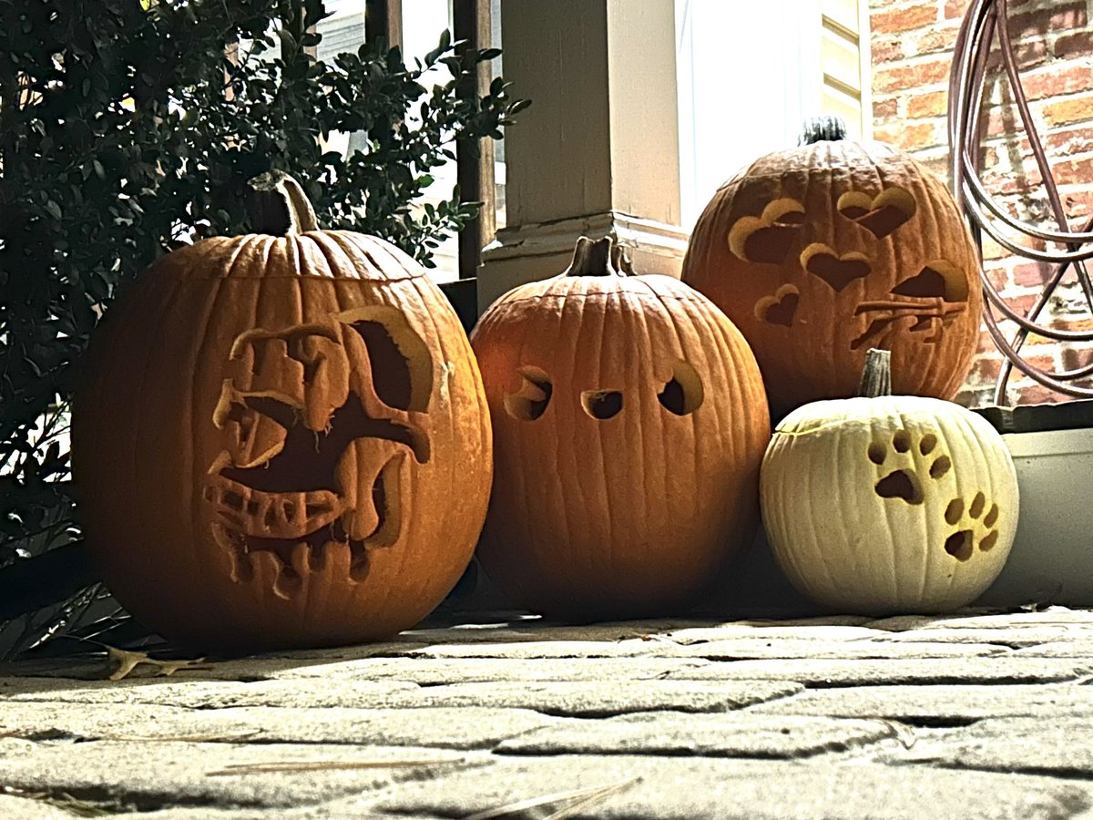 RisBrian's tweet photo. - Ris Family Pumpkins 2024 -
🧪#MAYC - #FaceFace - 💕@BuffaloBills - #Puppers 🎃 https://t.co/m1zk322hzp