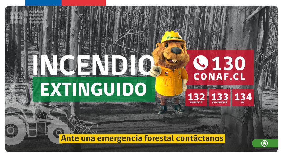 EXTINGUIDO #IFAguilaSur,#Paine,#Metropolitana
Sector Lomas del Águila 
Superficie afectada➡️30 hectáreas.