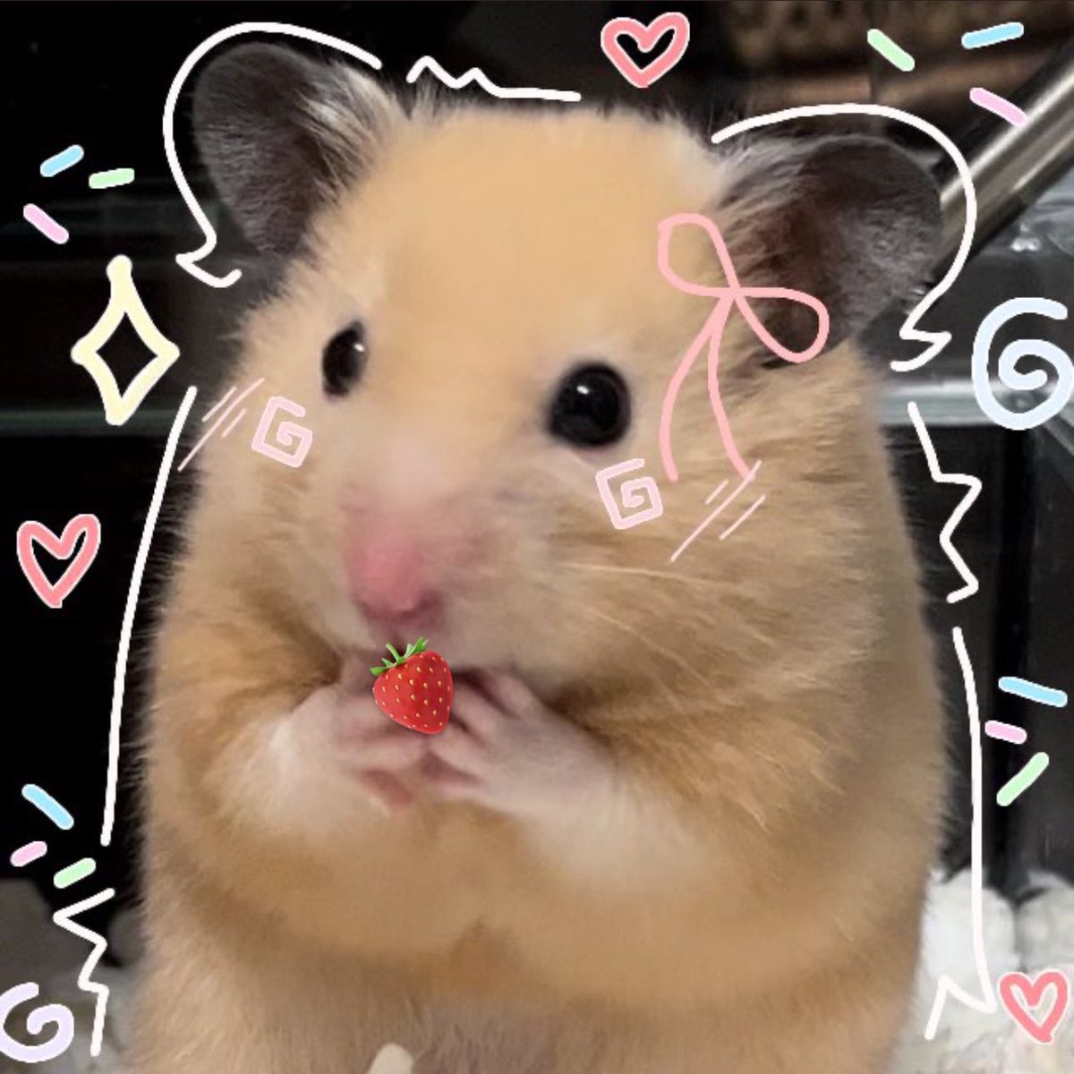 themakhink's tweet photo. เขายังจิ๋วอยู่มาก จับสตรอว์เบอร์รี่แบบสองมือ https://t.co/YPc8VW4YcX