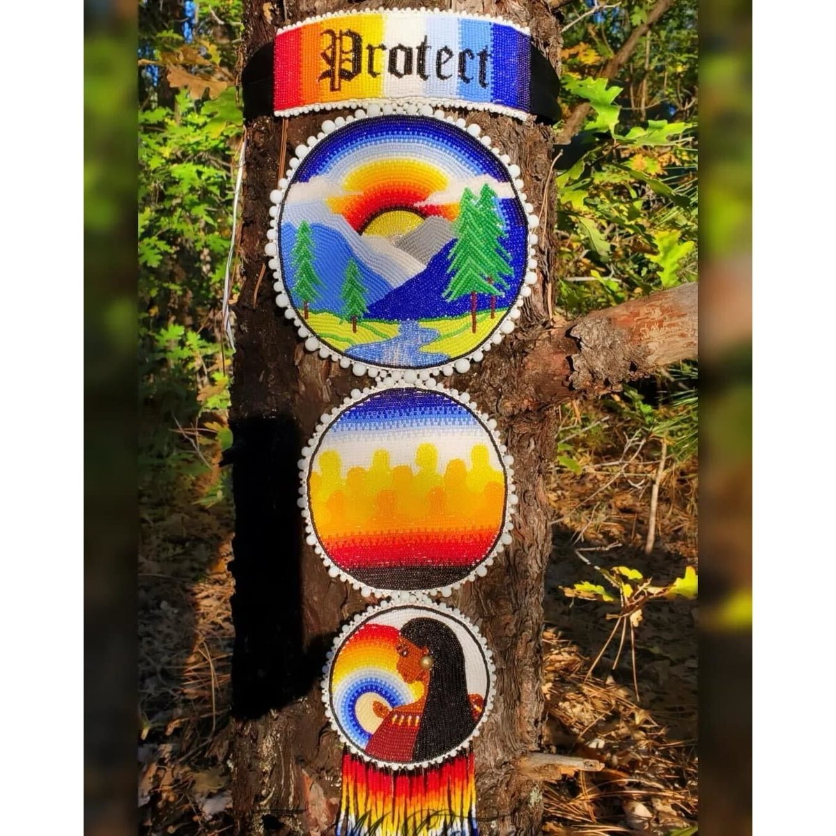 Arizona Native Vote 🗳️ tweet media