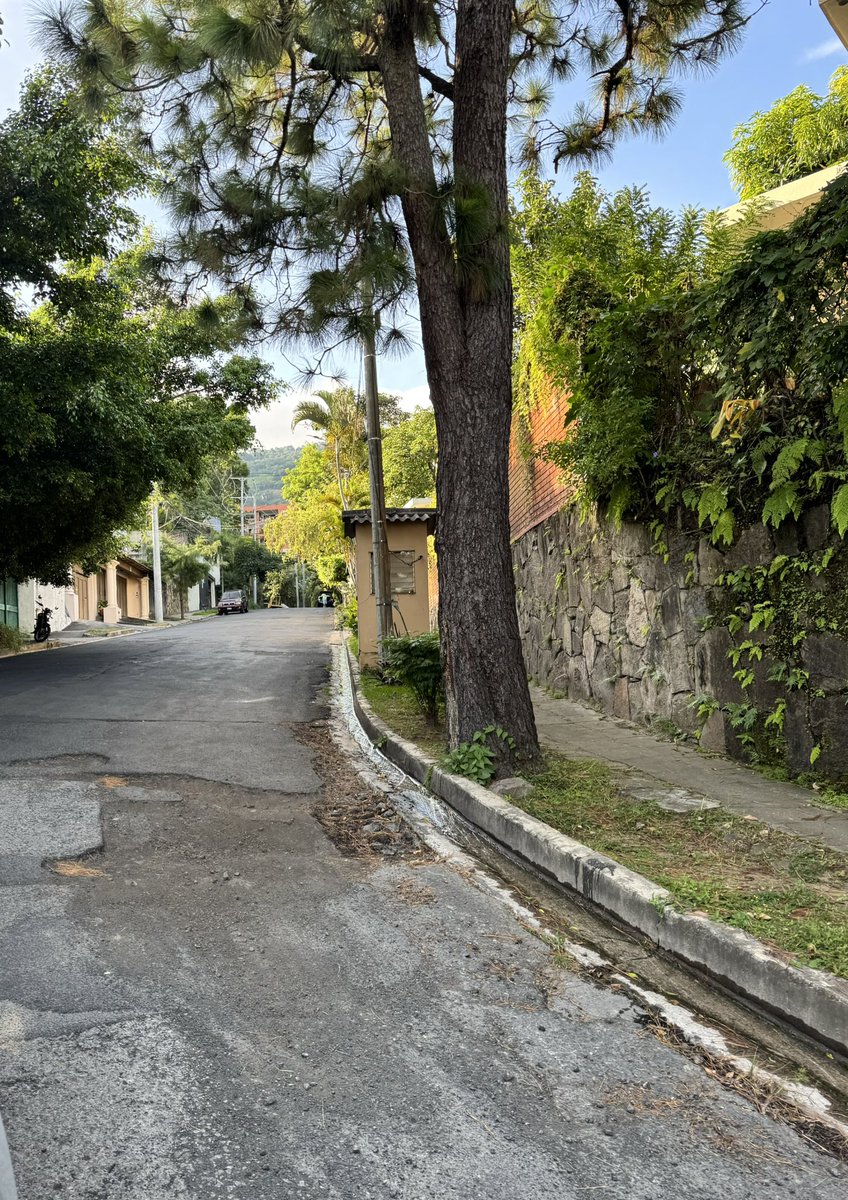 majo_blessed's tweet photo. @marioduran @alcaldia_ss A los rincones de Canton El Carmen en Escalon no han llegado, solo vinieron a dejar estacionadas las maquinas, ya llevan dos meses inmóviles, vinieron una mañana y no han regresado @marioduran @alcaldia_ss #SanSalvador #SinBaches https://t.co/WasFwcDWaB