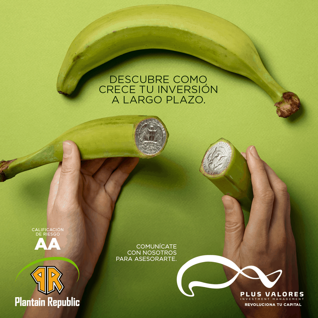 Plus Valores - Investment Management tweet media