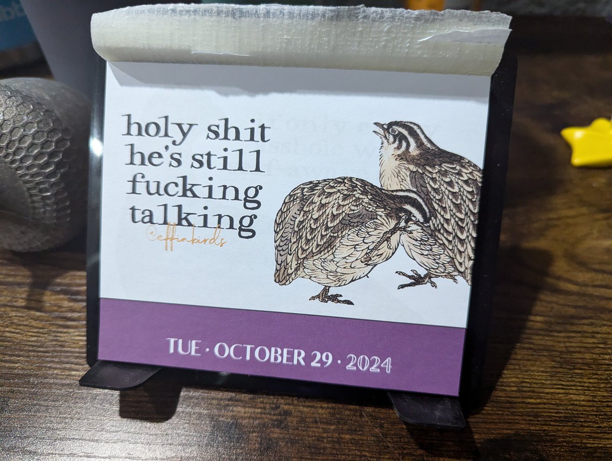 Did <a href="/EffinBirds/">Effin' Birds</a> plan this one carefully, or does it just happen to be timely?