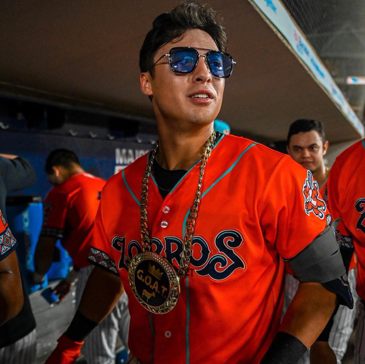 Somerset Patriots tweet media