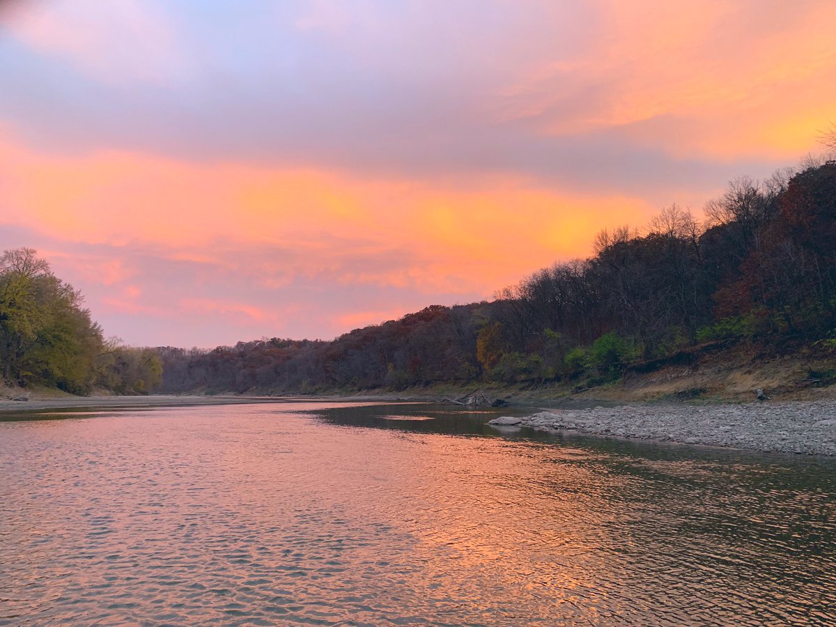 Weber Lab tweet media