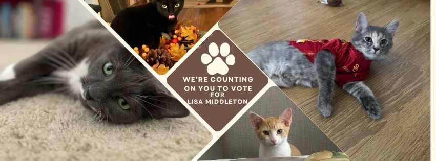 Lisa Middleton tweet media