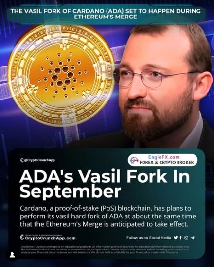 GartenSami46160's tweet photo. 📉 Despite recent crypto setbacks, Amazon investor Bill Miller remains optimistic about Bitcoin. The crypto market, despite a 75% dip, hasn't deterred Miller's bullish stance. 💼 #BillMiller #CryptoOptimism #BitcoinOutlook https://t.co/GhOQrrcGMI