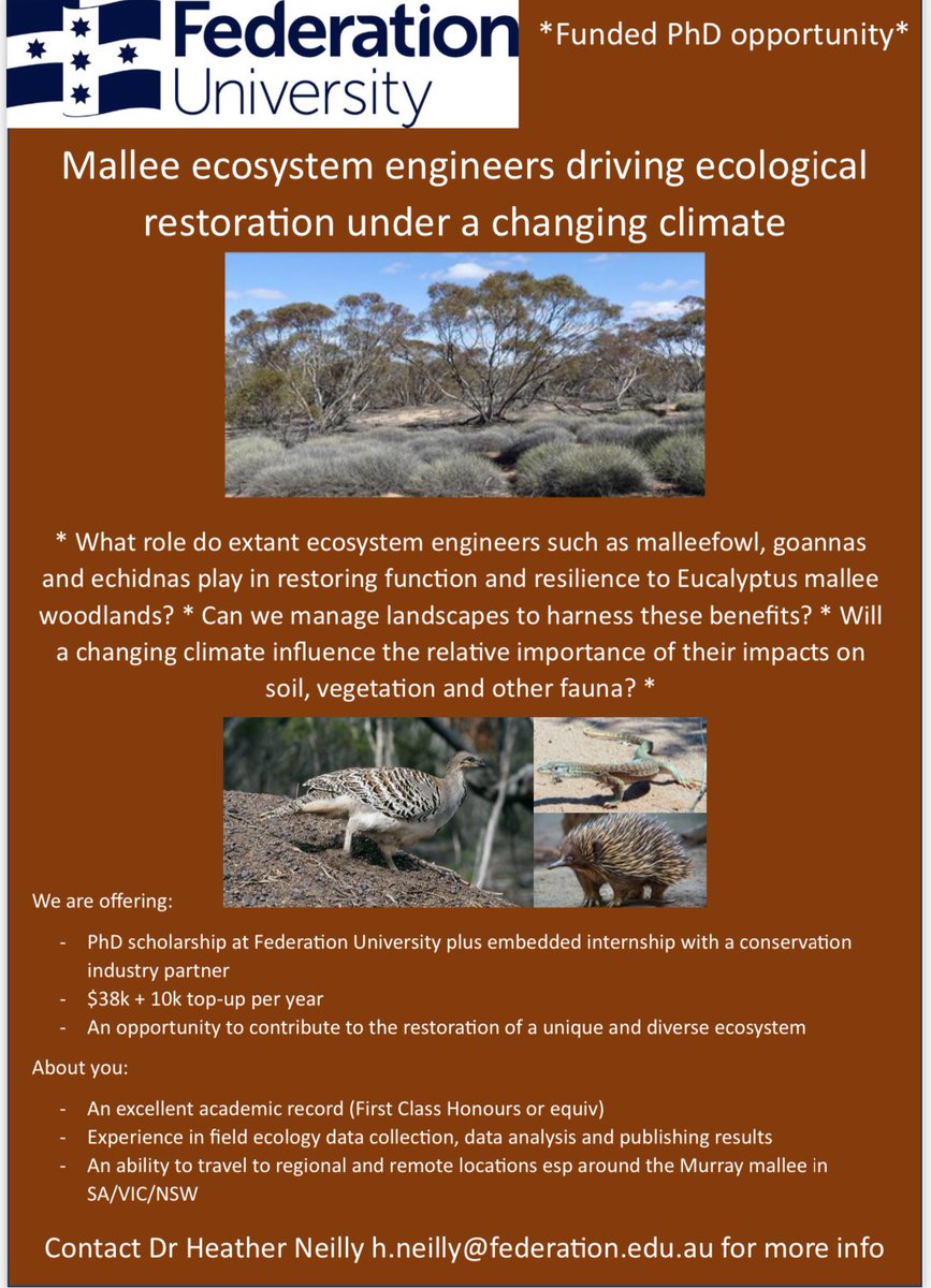 I don’t want to support Musk’s propaganda machine but I DO want to find an amazing PhD student so posting this here on the odd chance it gets seen! #PhD #ecology #wildoz #research #ecologicalrestoration