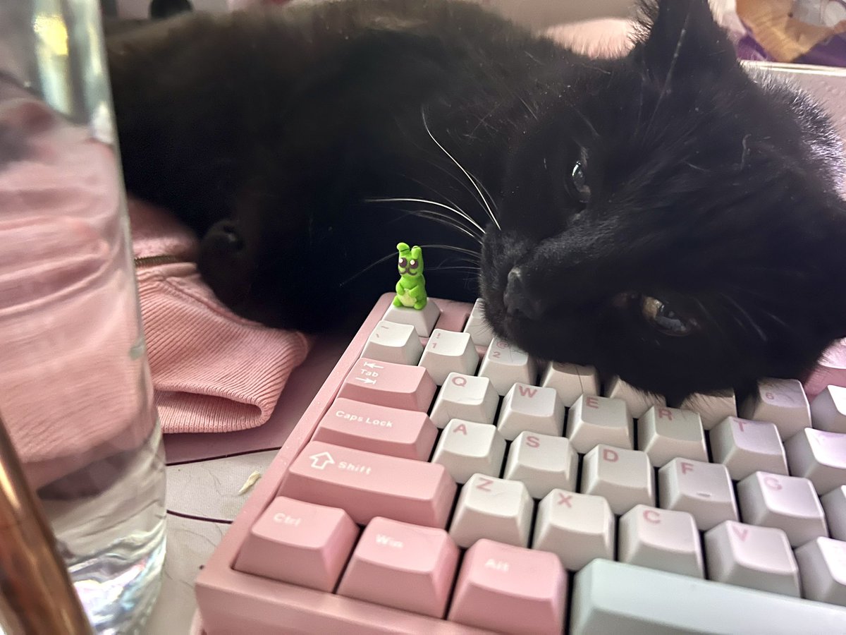 GG | pure ruby 🍉 tweet media