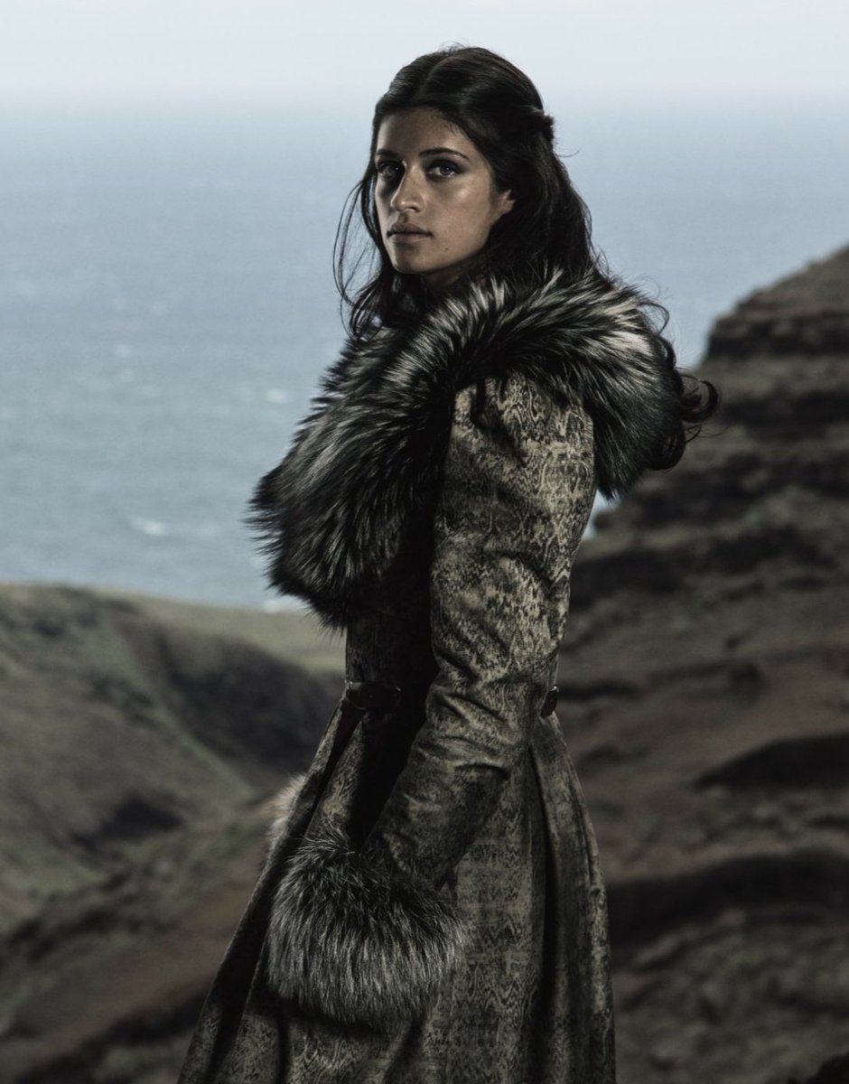 Matt Links 🦦🌻🌻🦦 🟦 tweet media