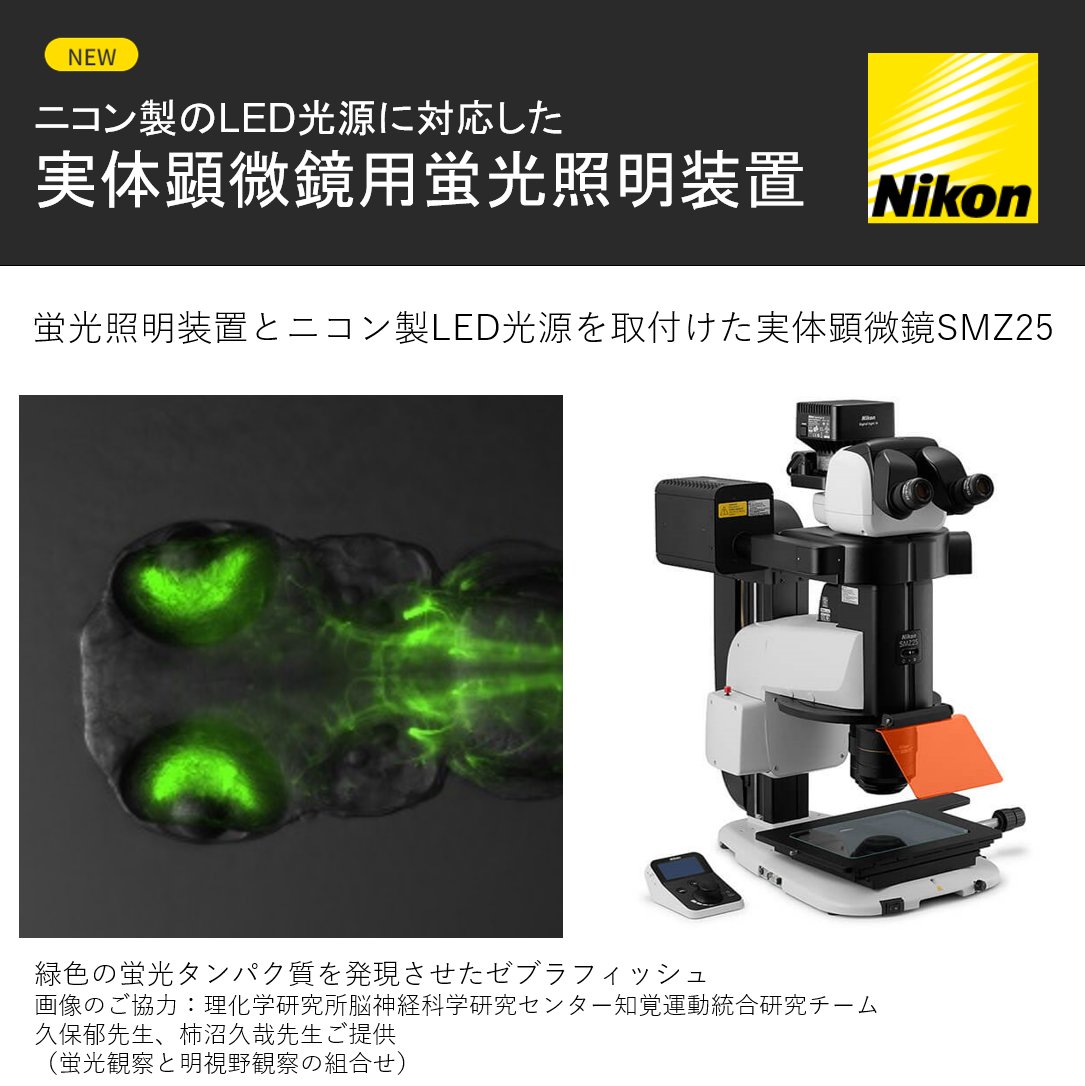 ニコン製のLED光源に対応した 実体顕微鏡用蛍光照明装置を本日発表！ ＼ 本製品を使用することでニコン製LED光源「D-LEDI」を実体顕微鏡にファイバーレスで取り付けることができます。  ▽プレスリリースはこちら https://t.co/4yBi3F2410 #Nikon #顕微鏡, image size:1085x1086