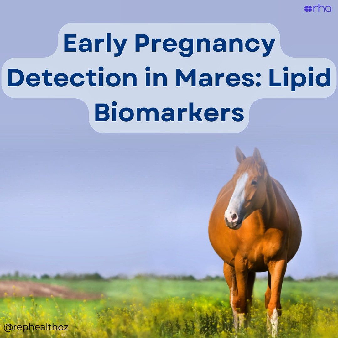🔬 Researchers found that lipid levels in mares’ blood change as early as day 7 of pregnancy! 

📈 The cholesterol-derived lipid BA 24:1;O5 increases, suggesting it could be an early marker for pregnancy detection. 🐴

#equinehealth #marepregnancy