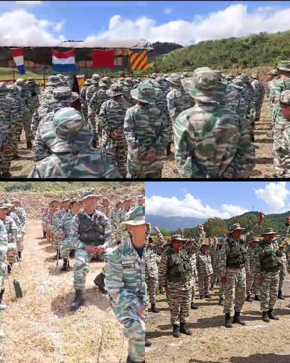 GJ. Domingo Hernández Lárez tweet media