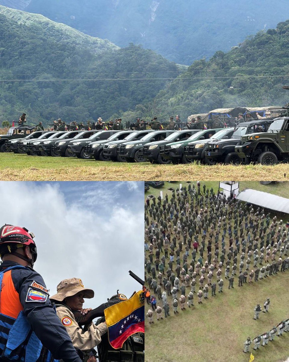 GJ. Domingo Hernández Lárez tweet media