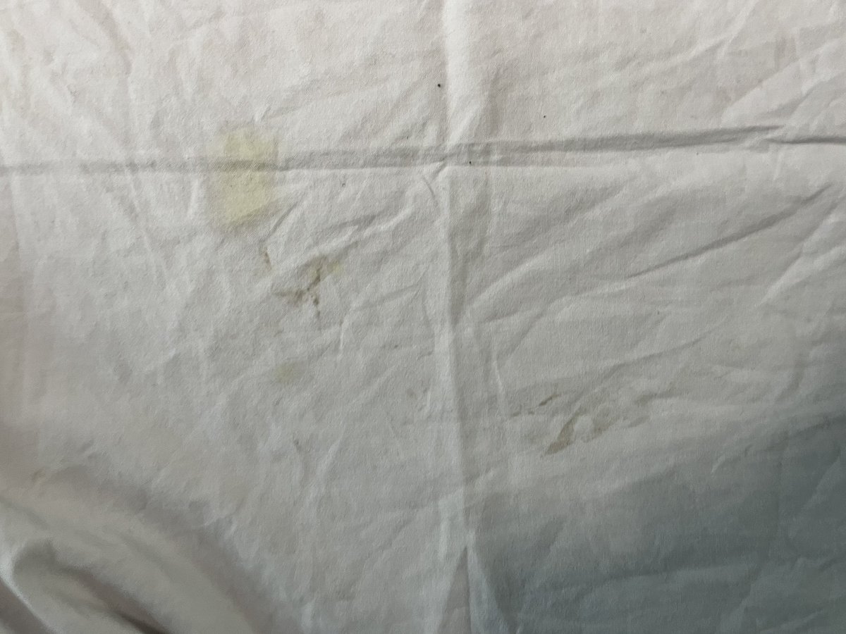 saketjsinha's tweet photo. @GM_NRly @RailMinIndia @RailMadad_DHN Traveling aboard 14624 from Bathinda to Mathura. Paid for second AC ticket. Only to get dirty, very clearly used and unwashed sheets and pillow covers. Is this the travel experience we expect from railways. https://t.co/PsKDv2ws6Q