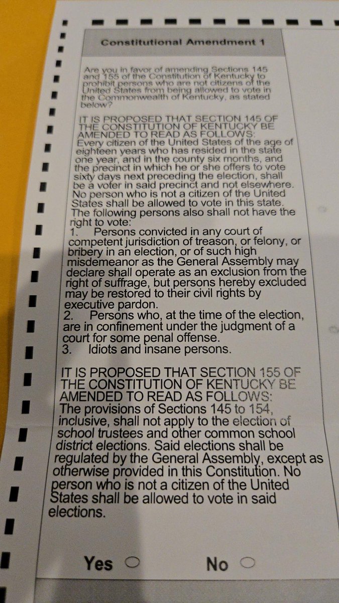 Filling out my absentee ballot. Amendment 1 is about limiting voting and one disqualifier is being an "idiot".  I think everyone can agree that we really have too many idiots voting.