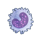 KenOliveLab tweet media