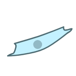 KenOliveLab tweet media