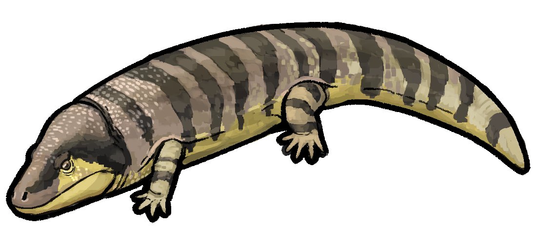Seismic Shrimp (JW) (@seismic_shrimp) on Twitter photo Welcome Ninumbeehan dookoodukah from the Jelm Formation!! Congrats to <a href="/calvincfso/">Cal So 蘇震峰</a>, <a href="/AaronKufner/">Aaron Kufner</a>, and everyone else who worked on the paper! Welcome Ninumbeehan dookoodukah from the Jelm Formation!! Congrats to <a href="/calvincfso/">Cal So 蘇震峰</a>, <a href="/AaronKufner/">Aaron Kufner</a>, and everyone else who worked on the paper!