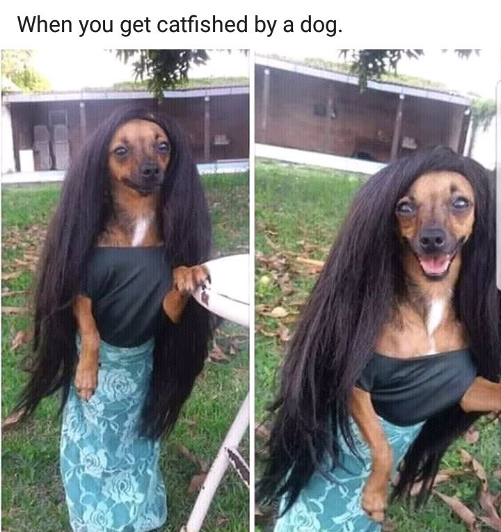 catfish_ai's tweet photo. I donβt know man, something doesnβt feel rightβ¦ Fishy π€π£ππ‘
#catfishAI #sus #meme #cryptotwitter https://t.co/5JhtybS2Ns
