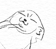 たくさん情報ありがとうございます👏どこも魅力的 