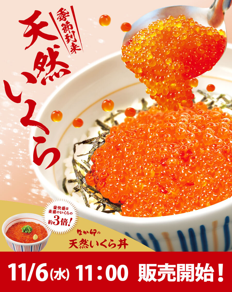 nakau_info's tweet photo. 🔴11/6(水)11:00から🔴

＿人人人人人人人人人人人人人人＿
＞昨年、“豪快盛”がSNSで話題に❗＜
￣Y^Y^Y^Y^Y^Y^Y^Y^Y^Y^Y￣

天然のいくらをたっぷり盛り付けた
『#天然いくら丼』登場✨

プチプチ食感のいくらから濃厚な旨みがあふれ出し、ごはんが進みます🥳

👉https://t.co/Yujcve637V

#なか卯 https://t.co/QIWXGvDCcc