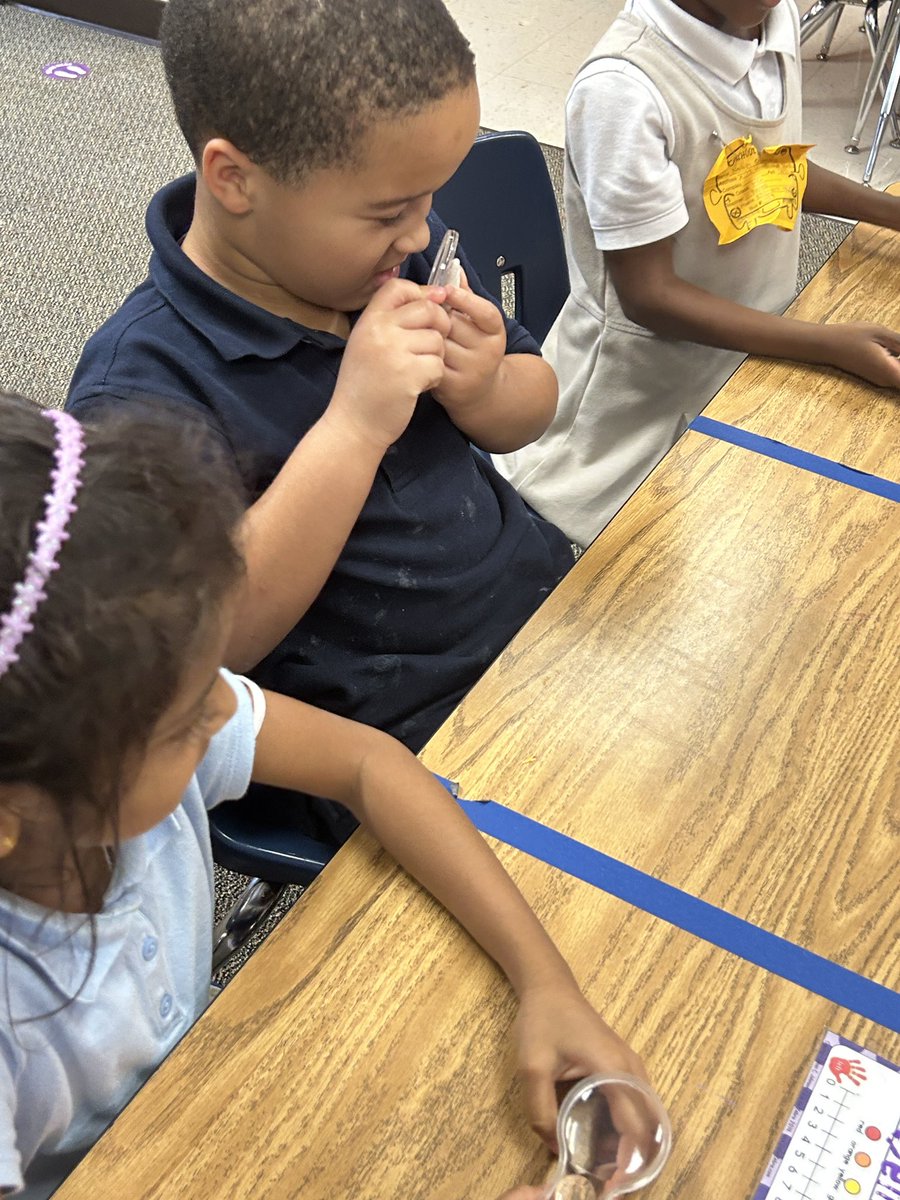 BillionaireUUSA's tweet photo. Who knew rocks could be so fun? The Billionaires are classifying rocks and using their math vocabulary to explain their explorations! @MsGazzaway @CJohnso75452633 @OutleyE
#ScienceIsDoing #ScienceHappensEveryDay https://t.co/g2lHOQT6Hn