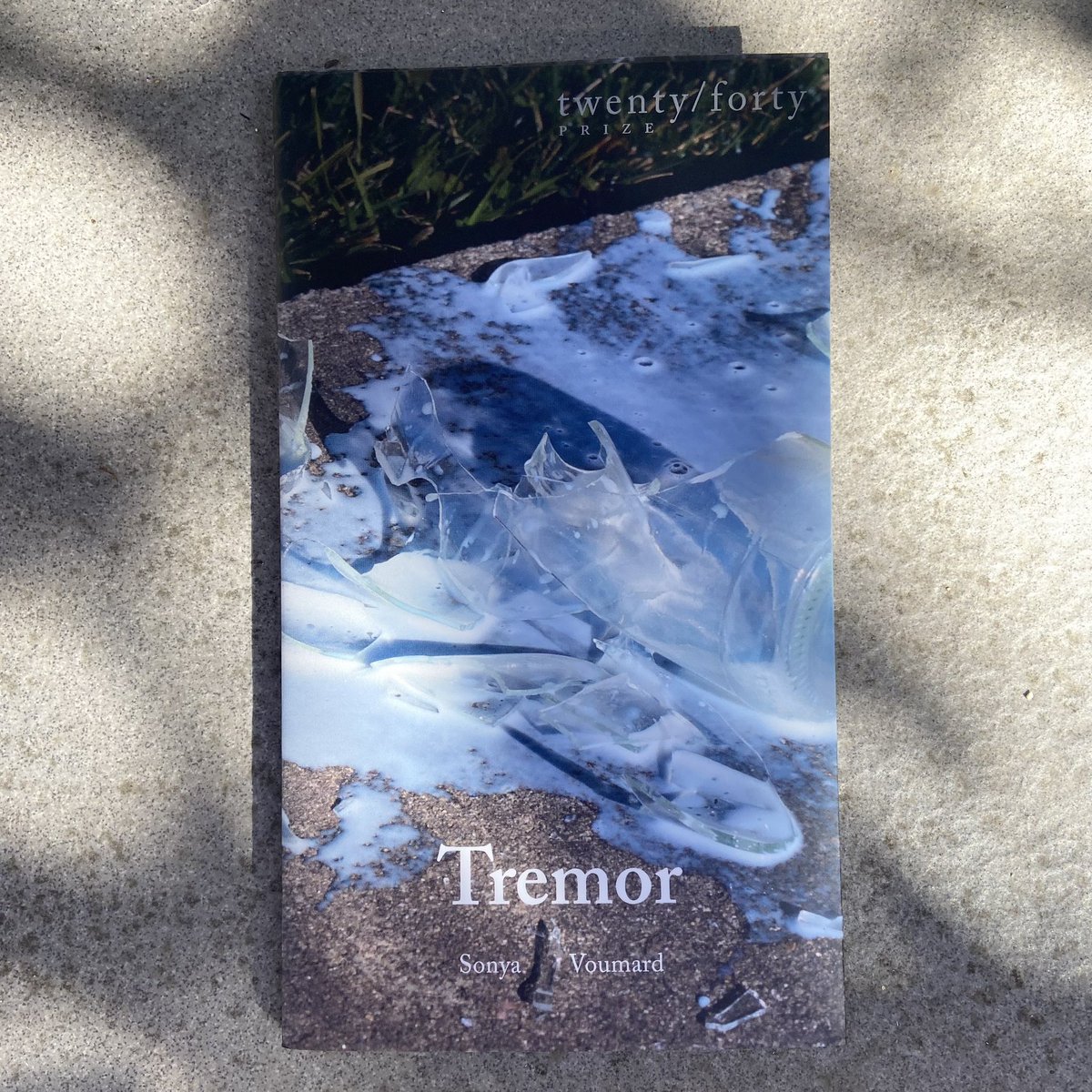 Finlay Lloyd tweet media