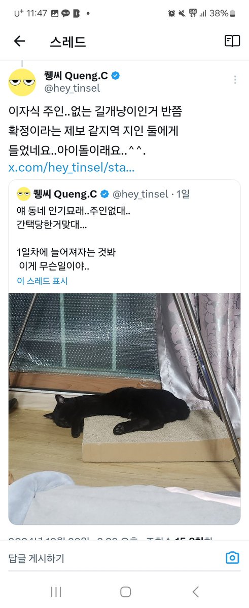 hey_tinsel's tweet photo. 아진짜이게무슨일이냐고 미친

 나에게 꼬장부리는 고양이가 없던시절(인용)

현: https://t.co/EKss94Y5PC