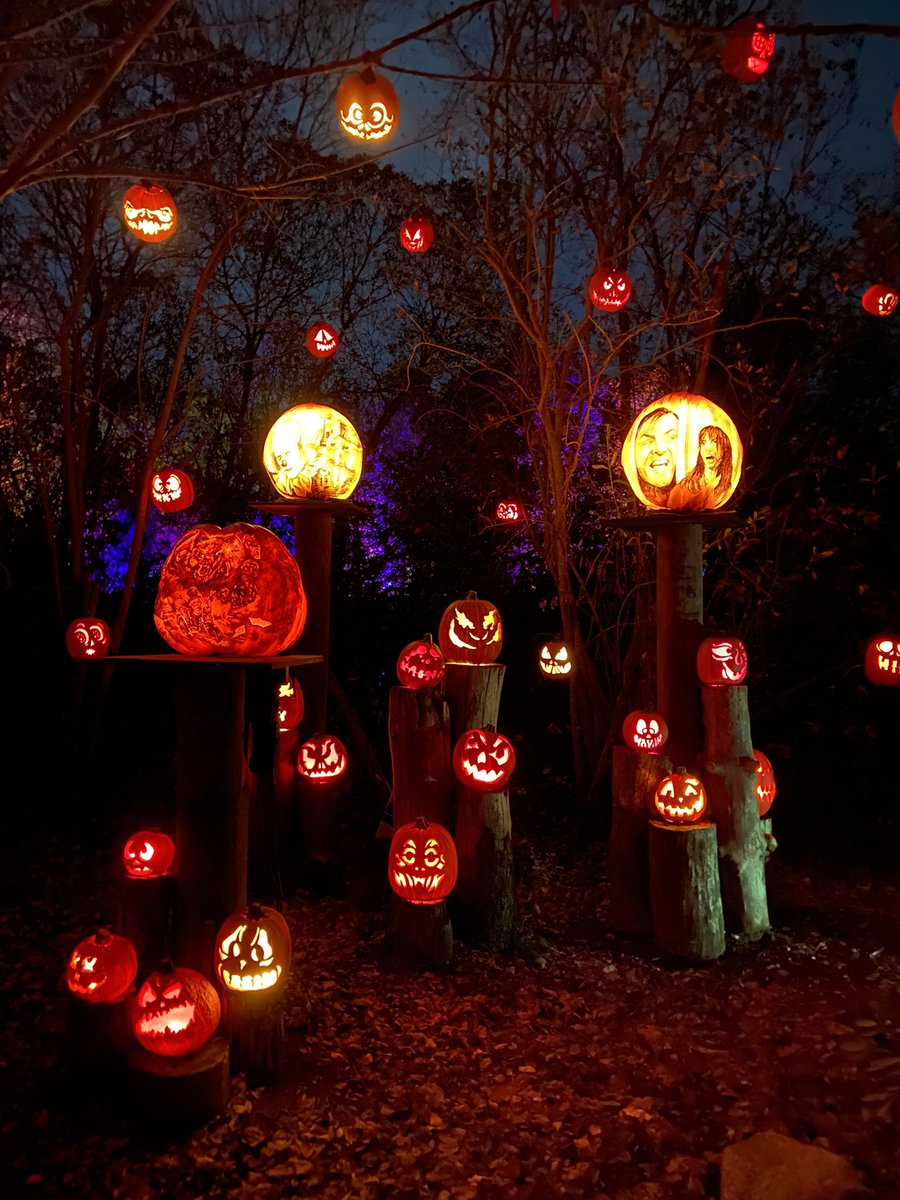 amxndascott's tweet photo. This evening I went to the @RWPZoo for the Jack-o-Lantern Spectacular, and look at this amazing @StephenKing section!! The artwork on these guys is INCREDIBLE. 🎃😻 https://t.co/wY3ZCh8NZJ