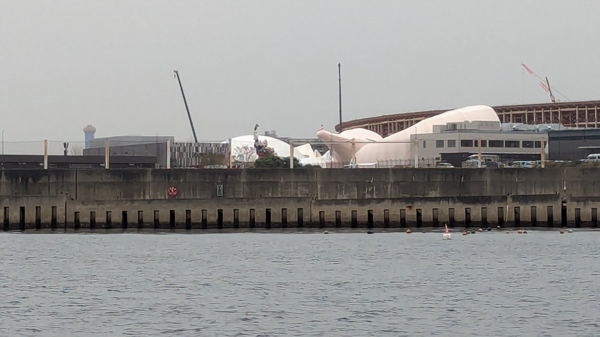 マルヲ tweet media