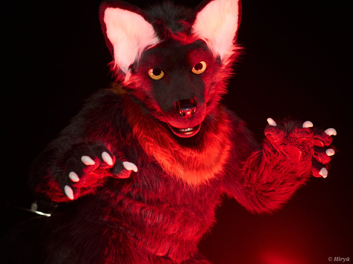 TakenyaChaos's tweet photo. #Halloween is near.
Be careful outside!
Monsters, demons and were-creatures are now up to mischief.
📸 @HiryuTheDragon
🧵 @whitewingsuits
My Chaos NEWS - Channel:
https://t.co/ioAYoUmWWu
#furry #furryfandom #FursuitEveryday #WhitewingWednesday https://t.co/8lhFZpulqX