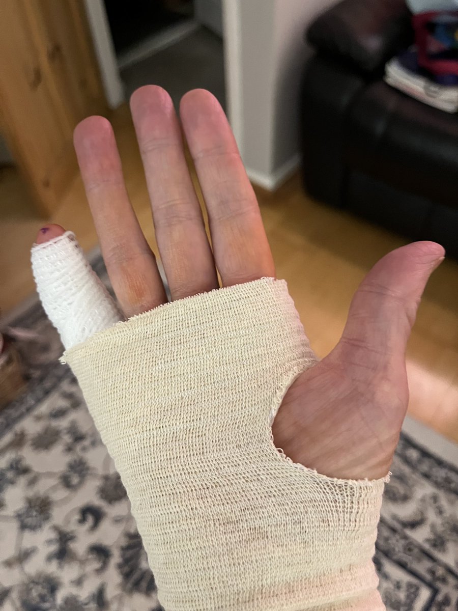 Karen Hunter 🌳🧬 tweet media