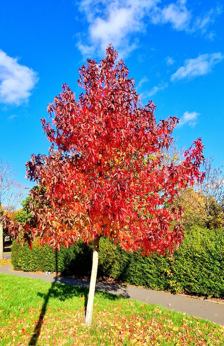 This is just showing off, to be honest.