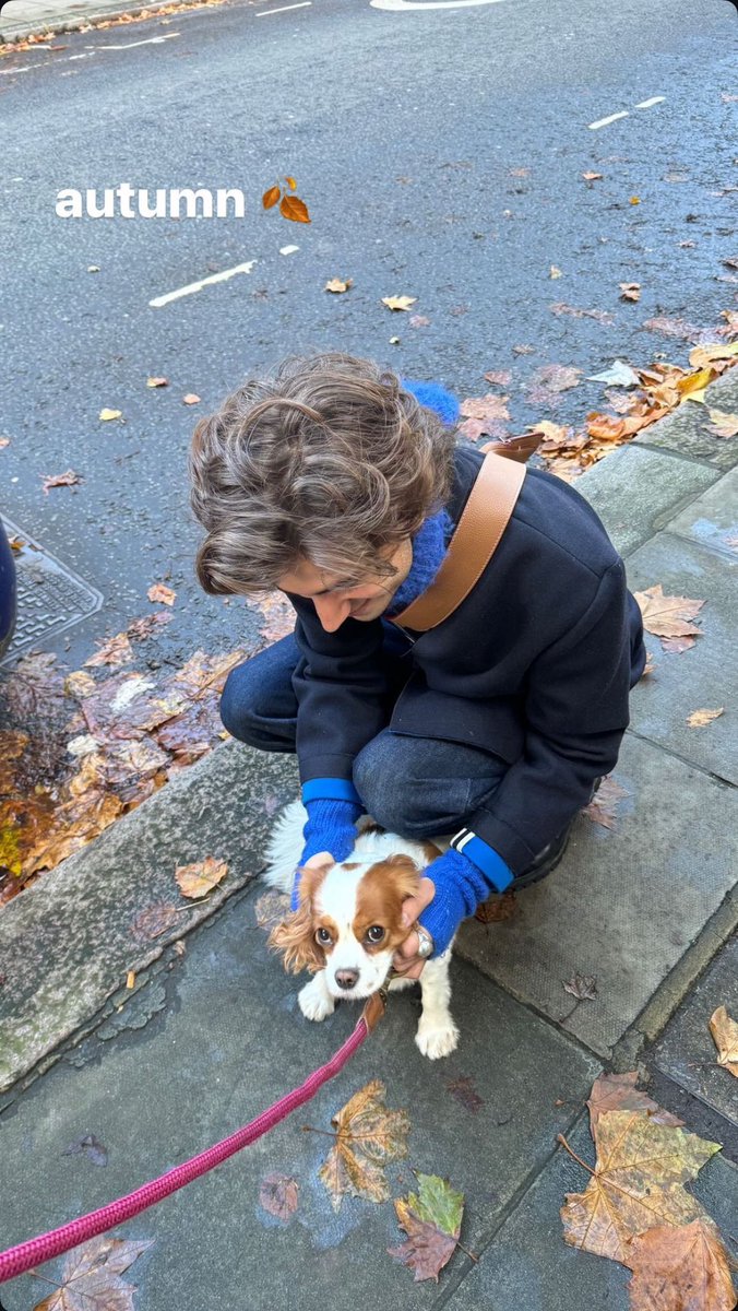 Sebastian Croft Updates tweet media