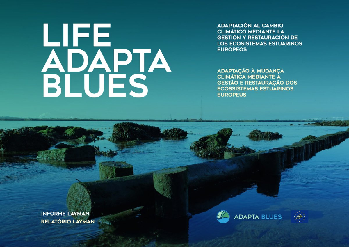 Quieres conocer todo lo que hemos hecho en nuestro proyecto? Aquí te presentamos nuestro #InformeLayman, en el que presentamos los principales resultados de una forma muy visual lifeadaptablues.eu/ipages/flipboo…
<a href="/LIFEprogramme/">LIFE Programme</a> <a href="/cinea_eu/">CINEA 🇪🇺</a> #climatechange